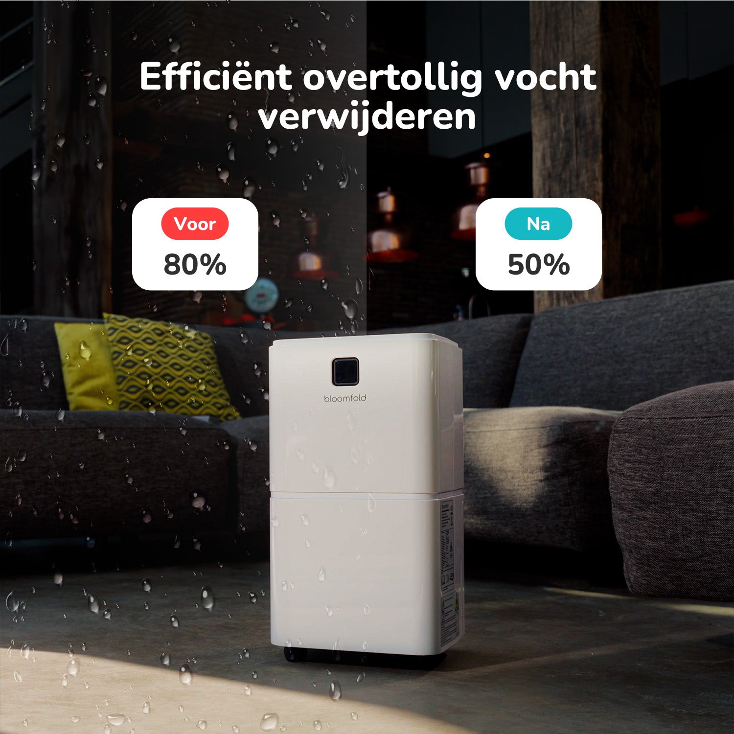 Dehumidifier 12L Halo